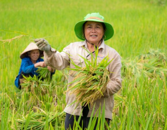 Exotic Pu Luong – Tam Coc and Halong Bay Tour – 5 Days