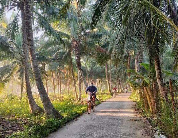 Insight Mekong Delta