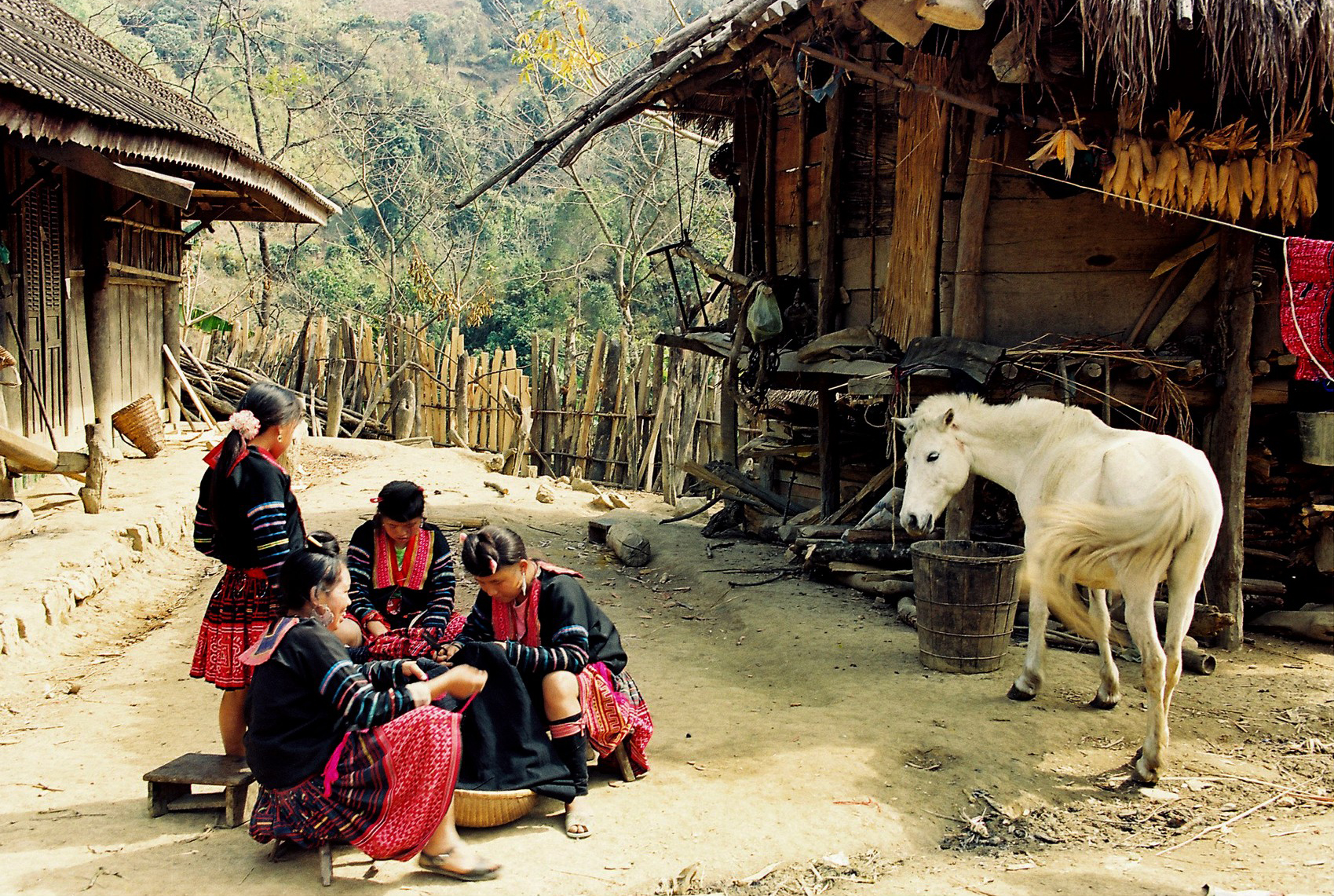 Hard Trekking Sapa 6 Days 6 Nights