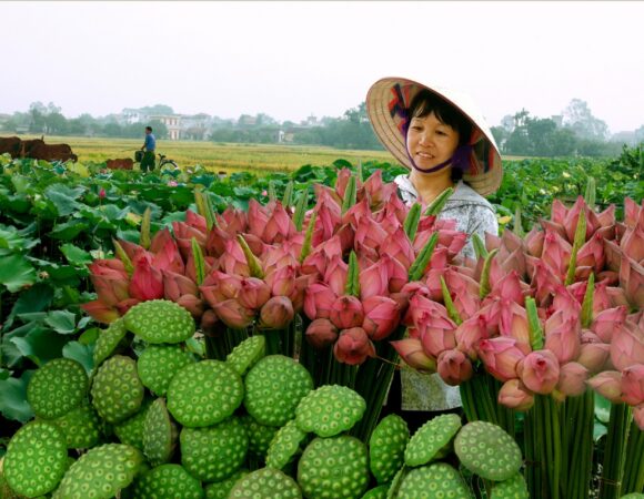 Mekong Delta By Bike 8 Days 7 Nights