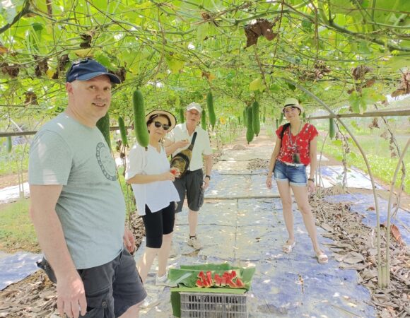 Rural Charm Life At Da Nang Countryside